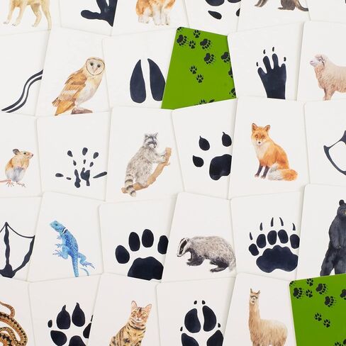 Laurence King Match a Track Near You: Match 25 Animals to Their Paw Prints in Kuwait