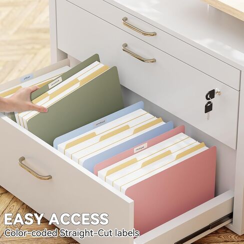 Plastic Expanding Accordion File Pockets,Extra Capacity,Expands 5.25",6 Pack File Pockets Letter Size,Straight-Cut Tab,Expandable Pockets,Accordion File Folder for Bulky Files,Pastel Color in Kuwait