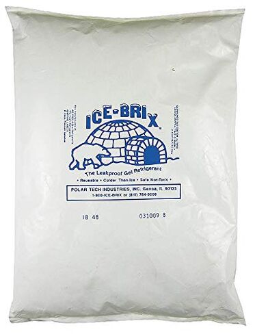 Polar Tech IB 48 Ice Brix Refrigerant Packs, Standard Leakproof, 48oz Capacity (Case of 6) in Kuwait