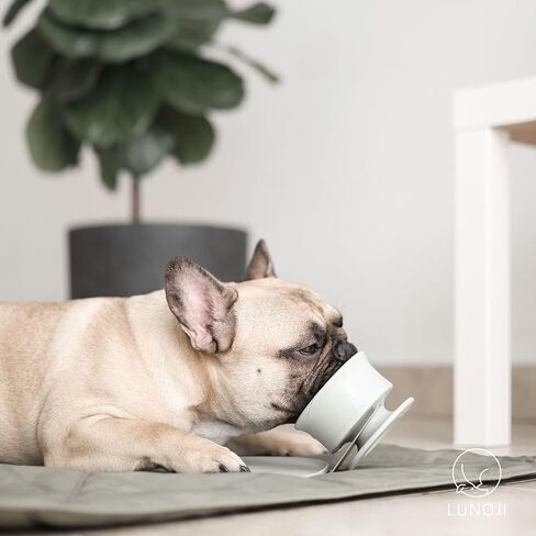 CHEWDEN Trove | Frozen Treat Holder | Dog Ice Cream | Mess-Free | Dog Enrichment in Saudi Arabia