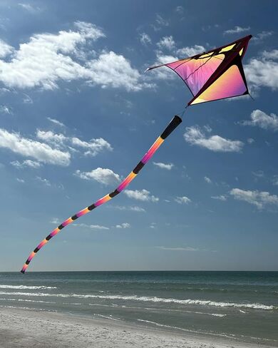 Prism Kite Technology High Flying Zenith 5 Single Line Delta Kite in Plasma Color and 5 Foot Wingspan - Includes Two 8' snap-on Wingtip Ribbon Tails and 200' x 50 lbs Polyester Flying Line in Kuwait