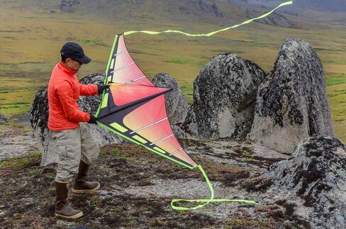 Prism Kite Technology High Flying Zenith 5 Single Line Delta Kite in Plasma Color and 5 Foot Wingspan - Includes Two 8' snap-on Wingtip Ribbon Tails and 200' x 50 lbs Polyester Flying Line in Kuwait