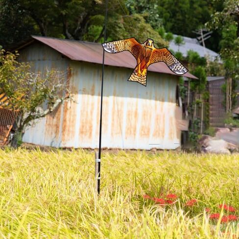 HENGDA Kite Bird Hawk طائرة ورقية طائرة ورقية مع عمود محاصيل المزرعة حامي الطيور المخيف طائرة ورقية طائرة ورقية مع عمود 4 متر أصفر in Kuwait