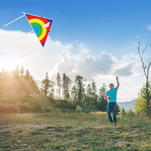 VioraWhite 30 Pcs Colorful Kites 24 Inch for Kids Adults Easy to Fly on Yard Beach Outdoor Toys Great for Birthday Party Favors Stocking Stuffers Family Beach Outdoor Games for Kids Ages 4-8 8-12 in Kuwait