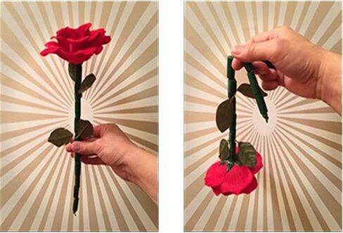 Momomage زهرة الانفصالية الخدع السحرية المرحلة عن قرب كسر استعادة زهرة سحرية Mentalism للتحايل الدعائم الانفصالية عصا سحرية الورد in Kuwait