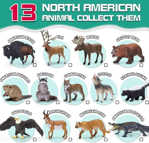 13 Pcs North American Forest Animal Figure Set with Educational Booklet and Gift Box, Realistic Plastic Animals Toy for Kids, Jungle Theme Party Favor, Cake Topper, Birthday Gift for Toddler Boy Girl in Kuwait