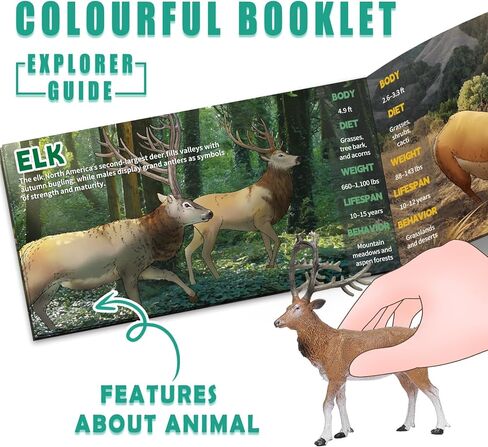13 Pcs North American Forest Animal Figure Set with Educational Booklet and Gift Box, Realistic Plastic Animals Toy for Kids, Jungle Theme Party Favor, Cake Topper, Birthday Gift for Toddler Boy Girl in Kuwait