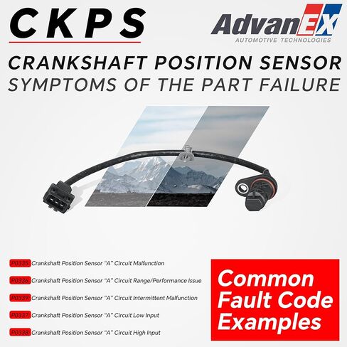 39180-25300 Engine Crankshaft Position Sensor Compatible with Santa Fe/Sonata/Tucson Forte/Magentis/Optima/Rondo/Sorento/Sportage Replace 39180-25200 907-788 in Kuwait