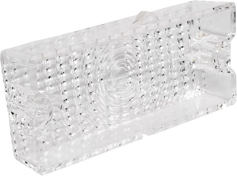 JEGS Parking Light Lens for Select 1969-1970 Chevrolet Trucks [Left/Driver Side] in Kuwait