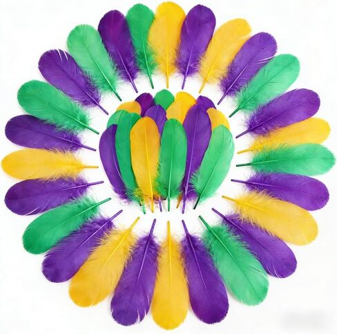 Mardi Gras Craft Feathers Bulk - 60pcs 6-8inch Big Goose Feathers for Mardi Gras Decoration Carnival Party Costume Decoration in Kuwait