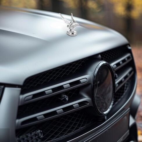 Hood Ornament Plastic Car Hood Decoration Universal Car Exterior Accessory 4.72X3.93X3.54 Inch in Kuwait