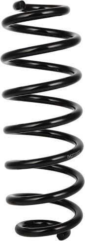 AUTOMUTO 2X Rear Suspension Coil Spring Set Fits for 2006-2010 2012-2019 for VW for Passat, 2009-2017 for VW for Tiguan, 2017-2018 for VW for Tiguan Limited, Driver and Passenger Side, Replace RA6165 in Kuwait