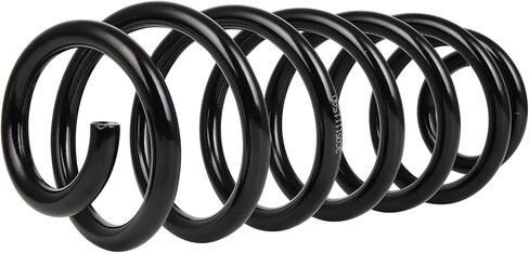 AUTOMUTO 2X Rear Suspension Coil Spring Set Fits for 2006-2010 2012-2019 for VW for Passat, 2009-2017 for VW for Tiguan, 2017-2018 for VW for Tiguan Limited, Driver and Passenger Side, Replace RA6165 in Kuwait