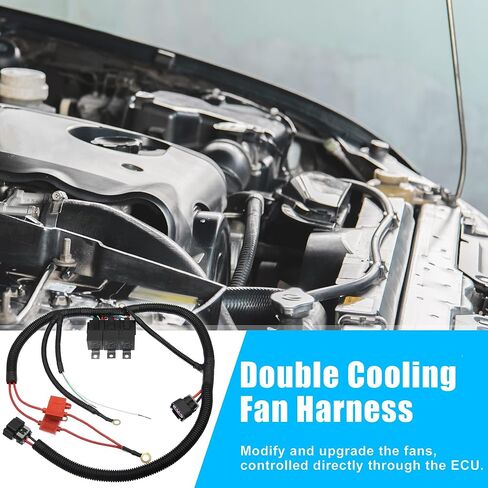 Dual Electric Fan Upgrade Wiring Harness Conversion Kit 7L5533A226T for GM 1999-2006 ECU Control Engine Double Cooling Fan Wire Dual Fan Relay Kit in Kuwait