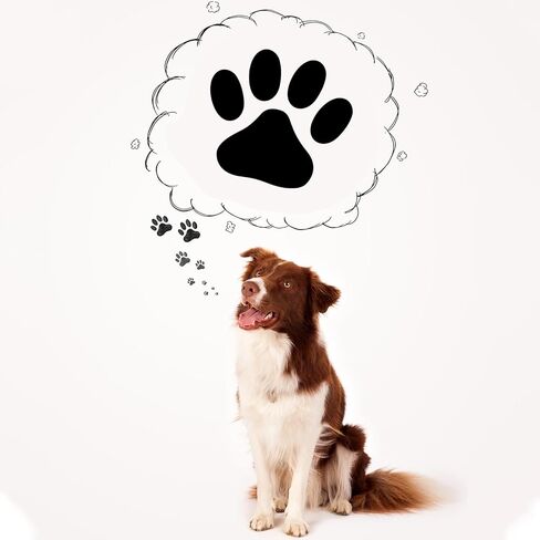 MiniInflat 4 Pack Paw Print Stamp Animal Dog Paw Print Stamper Mini Black Self Inking Stamps for Classroom Party Educational Learning Activities Supplies in Kuwait