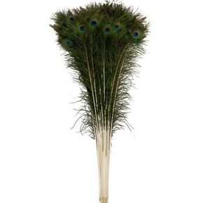 Natural Peacock Feathers 30-35 inches Long (20 pcs per Bundle)