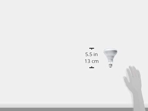 PHILIPS 408662 Soft White 65-watt Br30 Indoor Flood Light Bulb, 4 Count (Pack of 1) in Kuwait
