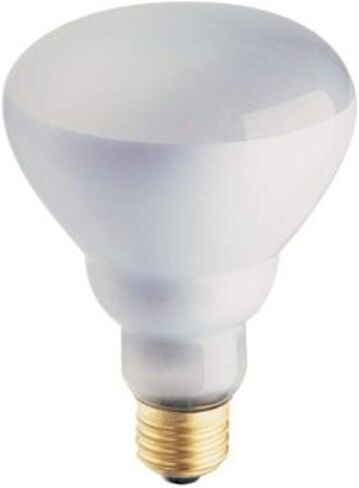 PHILIPS 408662 Soft White 65-watt Br30 Indoor Flood Light Bulb, 4 Count (Pack of 1) in Kuwait