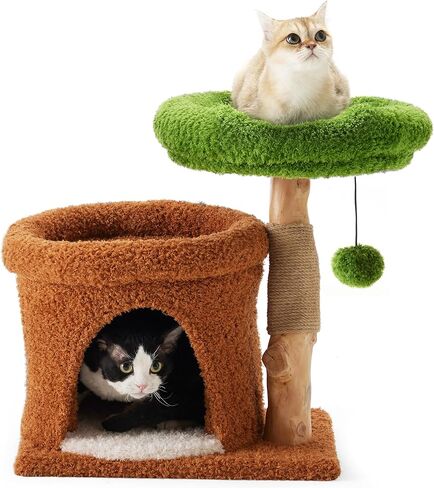 FUKUMARU Small Cat Tree, Plant Style Kitten Tower with Unique Solid Wood Cat Scratching Post, Cute Cat Condo Scratcher with Soft Bed for Indoor Kitten & Cats in Saudi Arabia