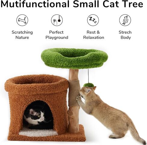 FUKUMARU Small Cat Tree, Plant Style Kitten Tower with Unique Solid Wood Cat Scratching Post, Cute Cat Condo Scratcher with Soft Bed for Indoor Kitten & Cats in Saudi Arabia