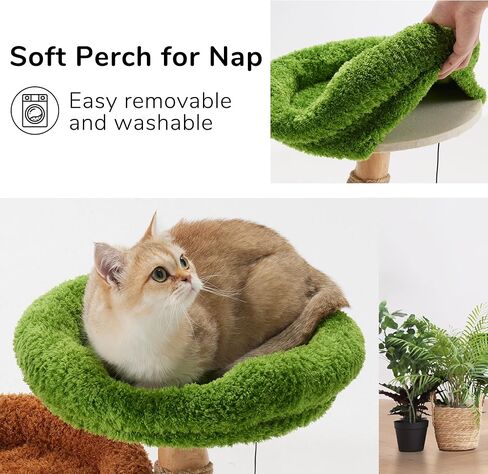FUKUMARU Small Cat Tree, Plant Style Kitten Tower with Unique Solid Wood Cat Scratching Post, Cute Cat Condo Scratcher with Soft Bed for Indoor Kitten & Cats in Saudi Arabia
