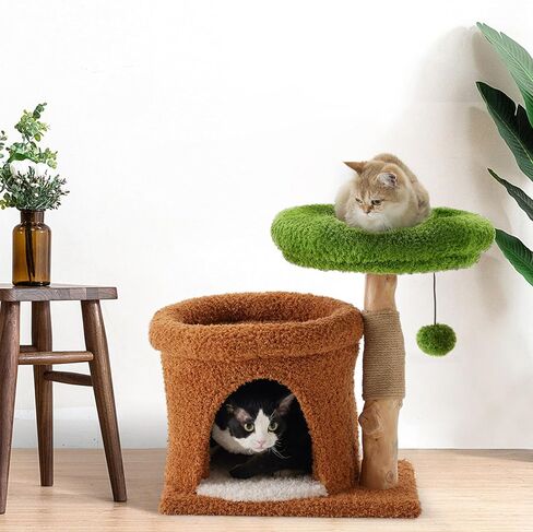 FUKUMARU Small Cat Tree, Plant Style Kitten Tower with Unique Solid Wood Cat Scratching Post, Cute Cat Condo Scratcher with Soft Bed for Indoor Kitten & Cats in Saudi Arabia