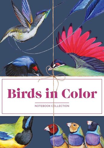 Garden Studies Notebook Collection in Saudi Arabia