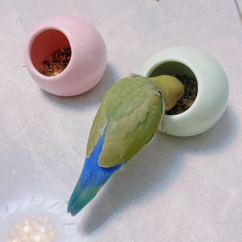 Bird Feeder Ceramic Anti-Spill Food Bowl for Parrot Cockatiels Parakeets Conures Zebra Finch Hamsters Guinea Pigs Rabbits Gerbil- Small Pet Supplies (Pink) in Saudi Arabia