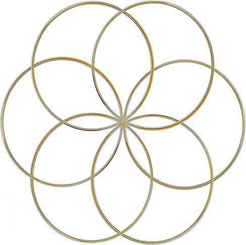 10PCS Dream Catcher Rings, Wreath Macrame Rings Gold Metal Floral Hoops Metal Craft Hoops for Making Wedding Wreath Decor Wall Hanging Crafts Table Decorations (2/3/4/5/6 Inch*2Pcs) in Kuwait