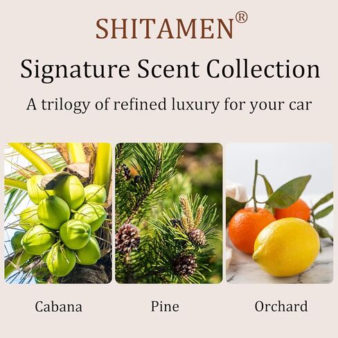 Car Air Freshener, Wood Air Freshener, Car Odor Eliminator for Visor Clip, 3-Pack Variety Scent Refill, Long Lasting - CLIP INCLUDED (Cabana-Pine-Orchard) in Saudi Arabia