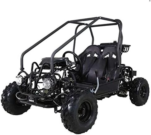 HHH Gokart GK110 Upgraded 125cc Go Kart Gas Fully Automtatic with Reverse Youth Kids 2 Seater 125cc Kart (Black Color) in Saudi Arabia