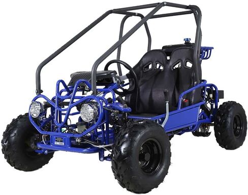 HHH Gokart GK110 Upgraded 125cc Go Kart Gas Fully Automtatic with Reverse Youth Kids 2 Seater 125cc Kart (Black Color) in Saudi Arabia
