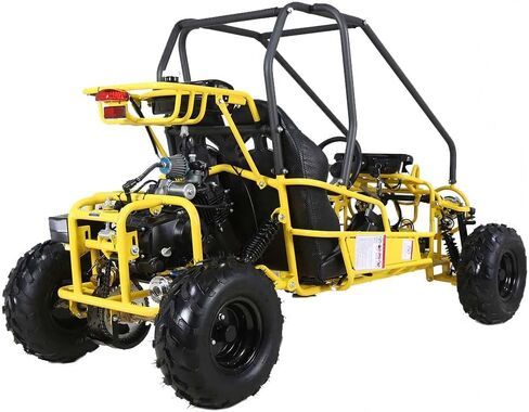 HHH Gokart GK110 Upgraded 125cc Go Kart Gas Fully Automtatic with Reverse Youth Kids 2 Seater 125cc Kart (Black Color) in Saudi Arabia