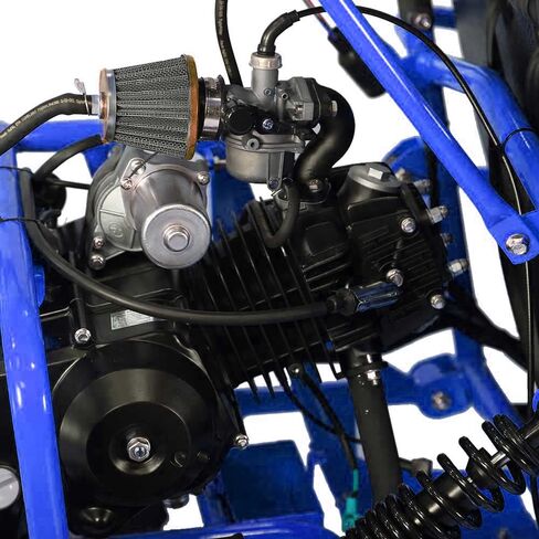 HHH Gokart GK110 Upgraded 125cc Go Kart Gas Fully Automtatic with Reverse Youth Kids 2 Seater 125cc Kart (Black Color) in Saudi Arabia