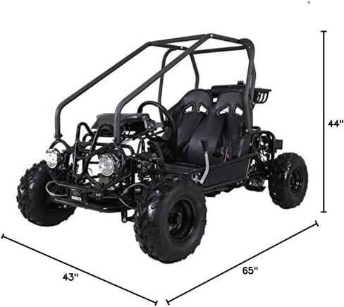 HHH Gokart GK110 Upgraded 125cc Go Kart Gas Fully Automtatic with Reverse Youth Kids 2 Seater 125cc Kart (Black Color) in Saudi Arabia
