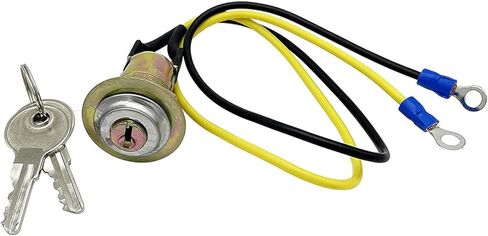 Ignition Key Switch w/Keys 8N3679C for Tractors 2N 8N 9N 501 600 700 800 801, Replacement for Ford OEM in Saudi Arabia