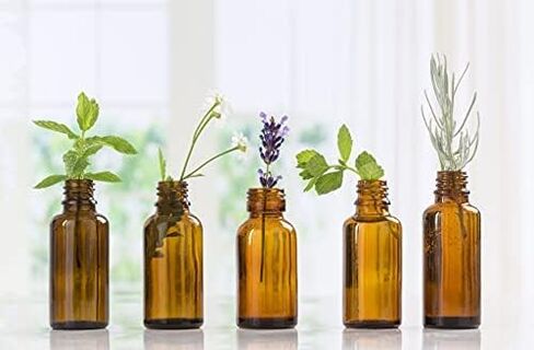 زيت إكليل الجبل العطري - زيت عطري نقي 100% بدرجة العلاج العطري من Nature's Note Organics (10 مل) in Kuwait