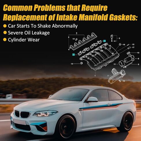 11611436631 113307401 Intake Manifold Gasket 2000-2008 for BMW 3 7 X3 X5 Z4 Series 330Ci 730Li 2.5i 3.0i Replacement # 026098P 77028100 366.500 2429075000 M36012 M36012-00 in Saudi Arabia