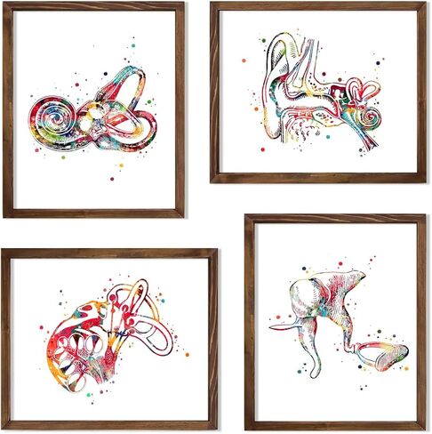 Audiology Watercolor 8x10 Unframed Print Set Ear Diagram Art Anatomical Office Decor Ear Anatomy Print Audiology Specialist Cross Section Clinic Hearing Office Decor Great Gift for Audiologist in Saudi Arabia