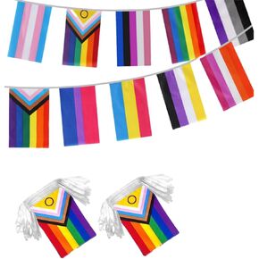 2 PCS Progress Rainbow Flags Banner String LGBTQ Gay Bunting Decoration Flags, 100 Feet 80 Flags in Saudi Arabia