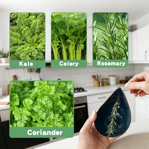 Herb Stripper Bowl - Multi-Size Holes for Cilantro & Basil, Resin Kitchen Tool for Fast Leaf Removal, Essential for Home Cooks in Saudi Arabia