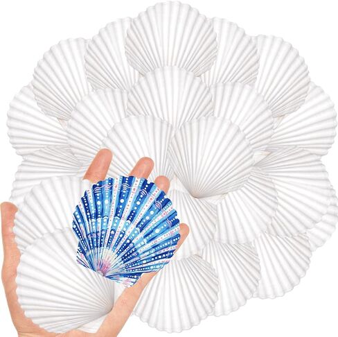 20Pcs 2-3 Inch Scallop Shells for Crafts, Natural White Scallop Shells for Painting, DIY Crafts, Decoupage, Beach Wedding Decor, Seashells Bulk for Home in Saudi Arabia