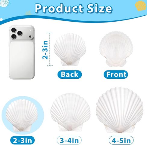 20Pcs 2-3 Inch Scallop Shells for Crafts, Natural White Scallop Shells for Painting, DIY Crafts, Decoupage, Beach Wedding Decor, Seashells Bulk for Home in Saudi Arabia