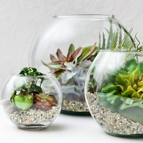 Succulent and Cactus Bonsai DIY Rocks, Jade Bean Pebbles, Natural Decorative Polished Stones Vase Fillers Gravel for Plants，Terrarium, Fairy Gardening, Indoor Outdoor Decor Ornamental Stones. in Saudi Arabia
