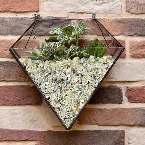 Succulent and Cactus Bonsai DIY Rocks, Jade Bean Pebbles, Natural Decorative Polished Stones Vase Fillers Gravel for Plants，Terrarium, Fairy Gardening, Indoor Outdoor Decor Ornamental Stones. in Saudi Arabia