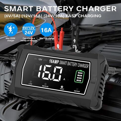 lifepo4 Charger 16-Amp Fully-Automatic Maintain,6V/12V/24V Lead-Acid(AGM/Gel/SLA)/Lithium lron LiFePO4 Trickle Charger,Pulse Repair Car Battery Charger,Deep Cycle in Saudi Arabia