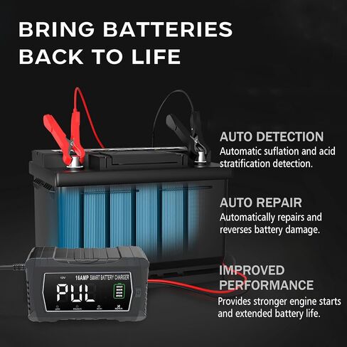 lifepo4 Charger 16-Amp Fully-Automatic Maintain,6V/12V/24V Lead-Acid(AGM/Gel/SLA)/Lithium lron LiFePO4 Trickle Charger,Pulse Repair Car Battery Charger,Deep Cycle in Saudi Arabia