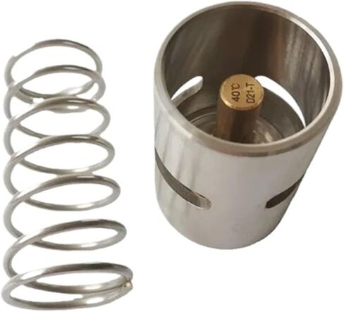 1619756000(1619-7560-00) Thermostatic Valve Kit Outer Dia*Height:45 * 64(mm) in Saudi Arabia