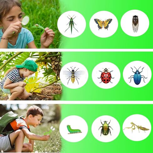 Bug Catcher for Kids - Outdoor Insect Catching Kit with Butterfly Net, Bug Box, and Storage Bag - Non-Toxic Educational Toys for Nature Exploration, for Boys & Girls Ages 3-12 in Saudi Arabia