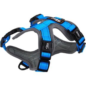 Outdoor Light Weight Dog Harness, No-Pull Pet Harness with 2 Leash Clips, Adjustable Soft and Breathable Padded Dog Vest, Reflective No-Choke Pet Vest for Small Dogs, Brilliant Red, S
